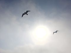 -海驴岛(荣成市)