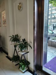 -香秀空间科技抗衰·美容中心
