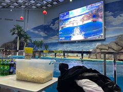 -福州罗源湾海洋世界旅游区