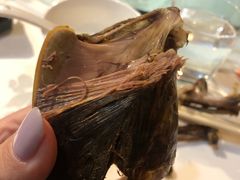-食家鸽园