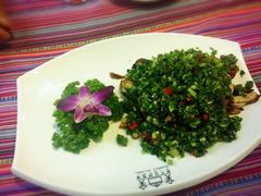 -香巴拉云南餐厅(华莱坞店)