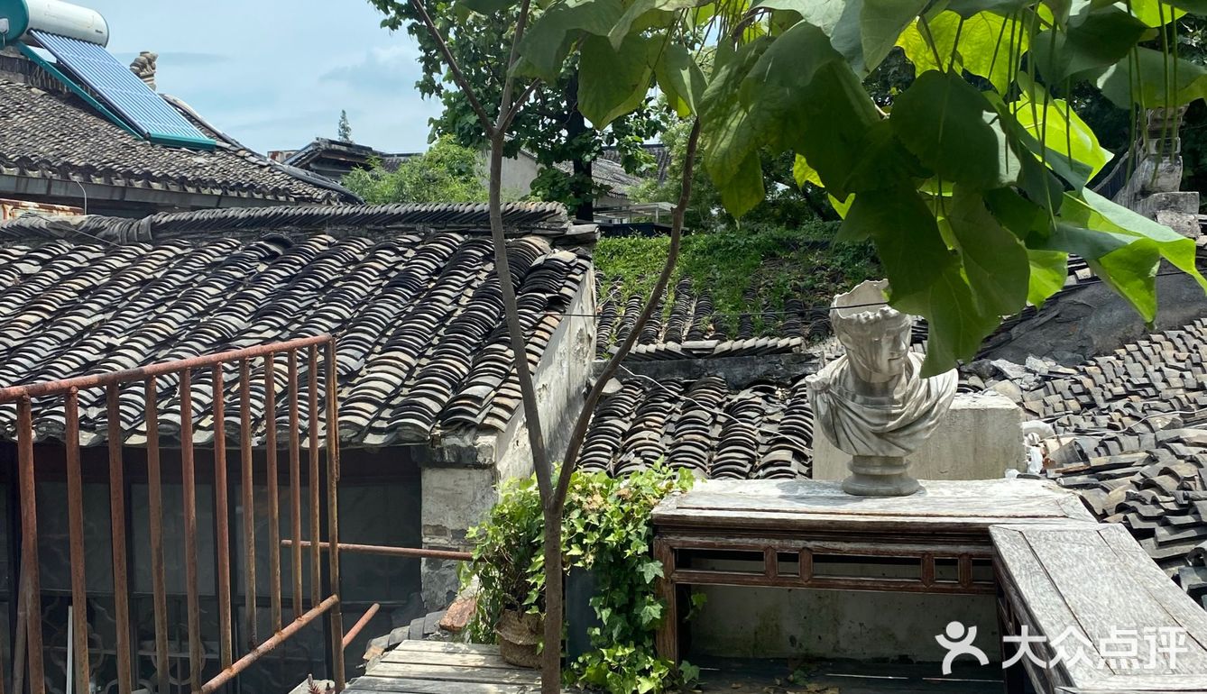 店里有只黑猫会固定时间来玩，没忍住给猫猫拍了很多照片