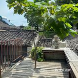 店里有只黑猫会固定时间来玩，没忍住给猫猫拍了很多照片