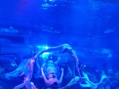 -成都浩海立方海洋公园