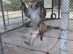 -祥源·阜阳生态乐园