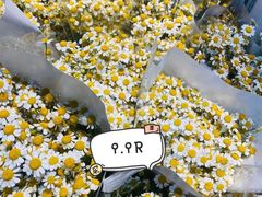 -循礼门鲜花花市(武汉循礼门店)