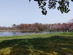 -上海海湾国家森林公园