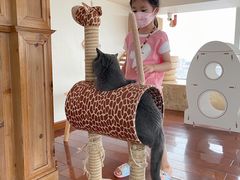 -Catmate·猫肥家润(金润铂宫店)