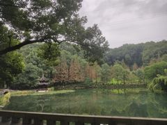-忠山公园