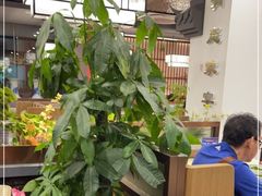 -洞庭家宴·头牌甲鱼(广渠门店)