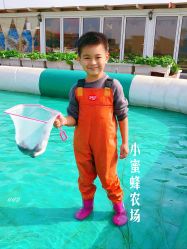 -小蜜蜂农场(凯德七宝购物广场店)