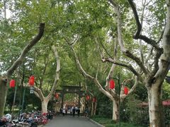 -杭州黄龙洞