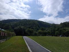 -火炉山森林公园