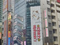 -秋叶原电器街