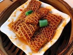 -点都德·毕德寮