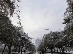 -中央民族大学