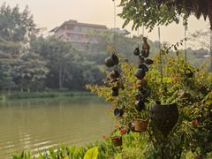 -曼听御花园
