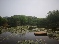 -白马涧龙池景区