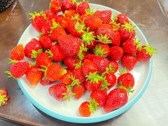 -北京龙庆四季香农家饭庄·灶台鱼·碳烤虹鳟鱼(龙庆峡店)