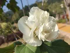 -中国移动南方基地