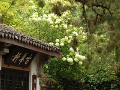 -惠山古镇·寄畅园