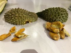 -都念榴莲·城市榴莲