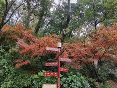 -岳麓山风景名胜区