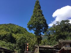 -林坑古村落
