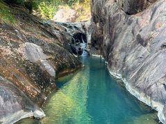 -广州白江湖森林公园