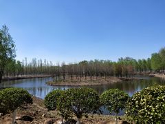 -东郊湿地公园