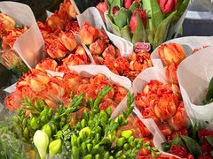 -循礼门鲜花花市(武汉循礼门店)