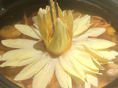 -映水芙蓉(上海万象城店)