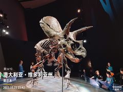 -墨尔本博物馆(Melbourne Museum)
