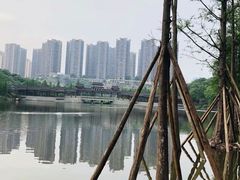 -重庆彩云湖湿地公园