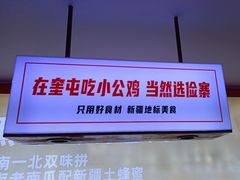 -俭寨大盘芦花土鸡·小公鸡·烧烤新疆菜(云通店)