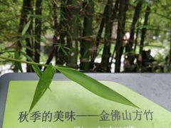 -晓港公园