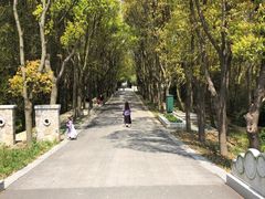 -同里国家湿地公园