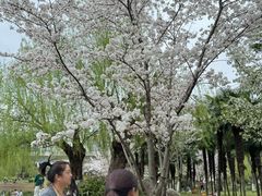 -堤角公园
