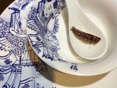-福照楼汽锅鸡·云南菜(护国路店)