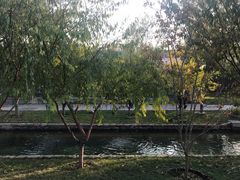 -春风习习