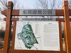 -东郊湿地公园