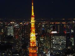 -六本木新城展望台(东京城市景观)