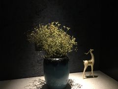 -璞·澐间影院式足道SPA(尚悦湾店)