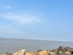 -上海吴淞炮台湾国家湿地公园