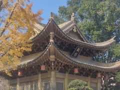 -上海东林寺(金山区)