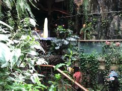 -正佳雨林生态植物园