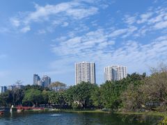-荔湾湖公园