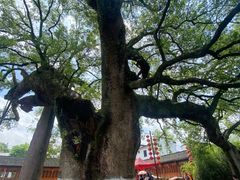 -新安江山水画廊风景区
