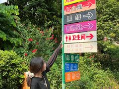-天鹿湖森林公园