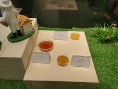 -广东中医药博物馆